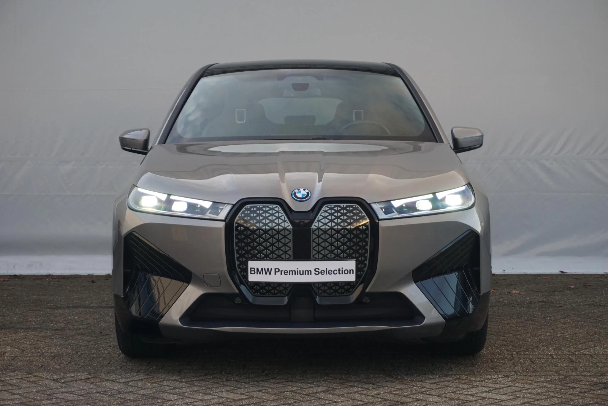 Hoofdafbeelding BMW iX