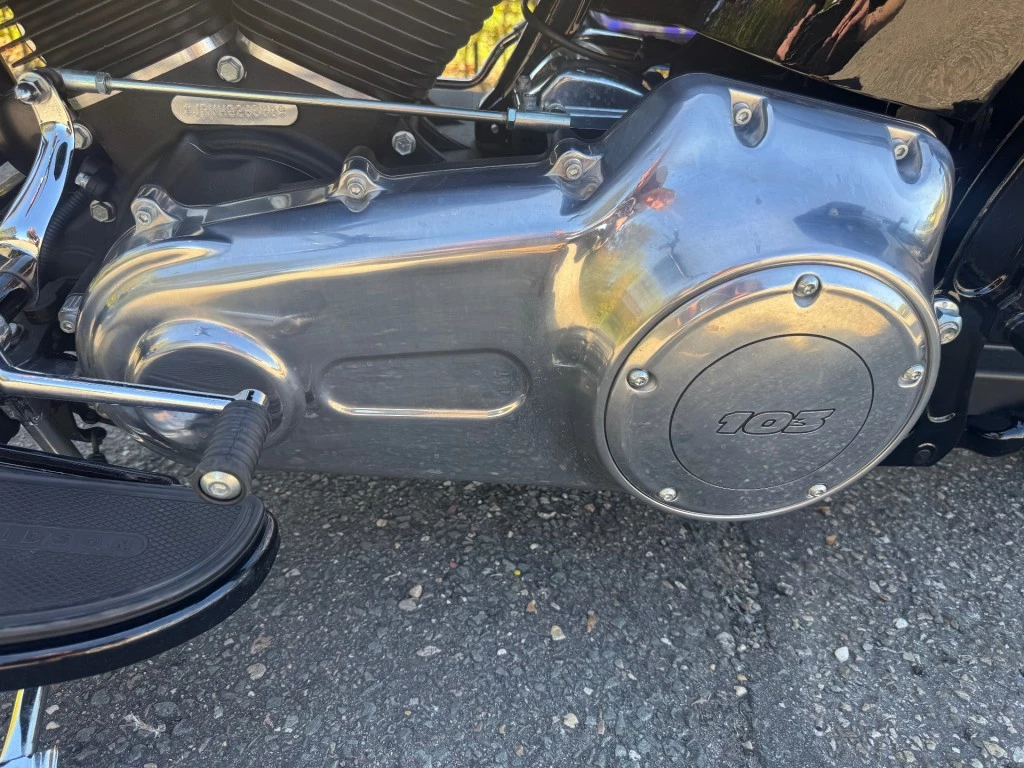 Hoofdafbeelding Harley-Davidson Softail