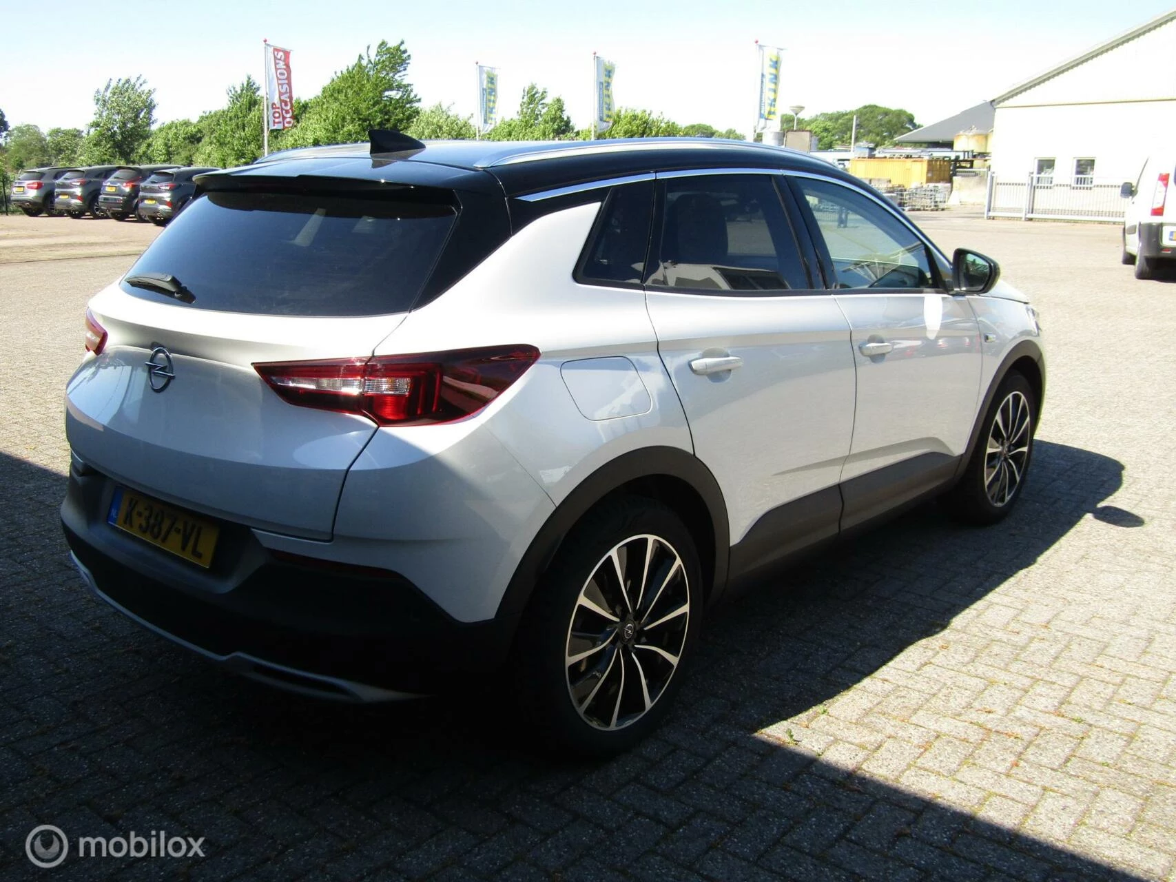 Hoofdafbeelding Opel Grandland X