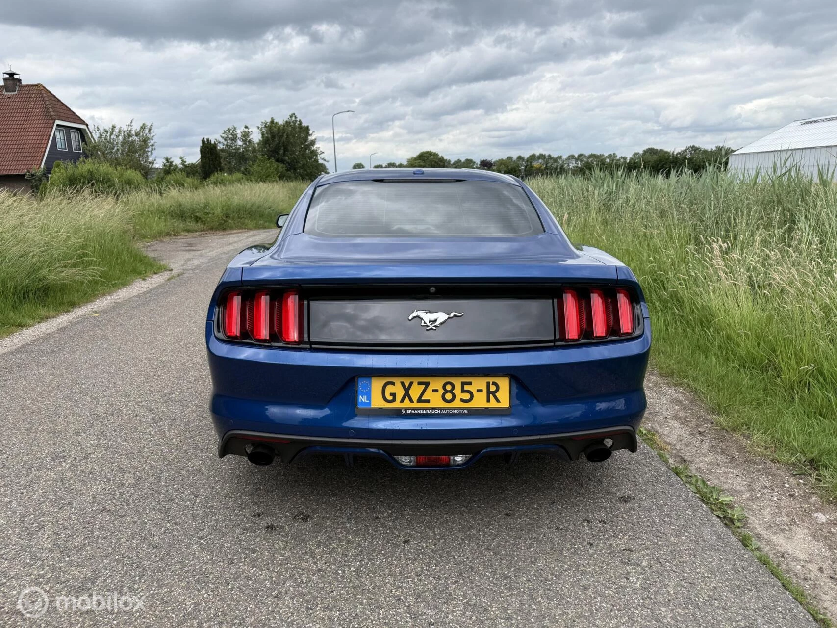 Hoofdafbeelding Ford Mustang
