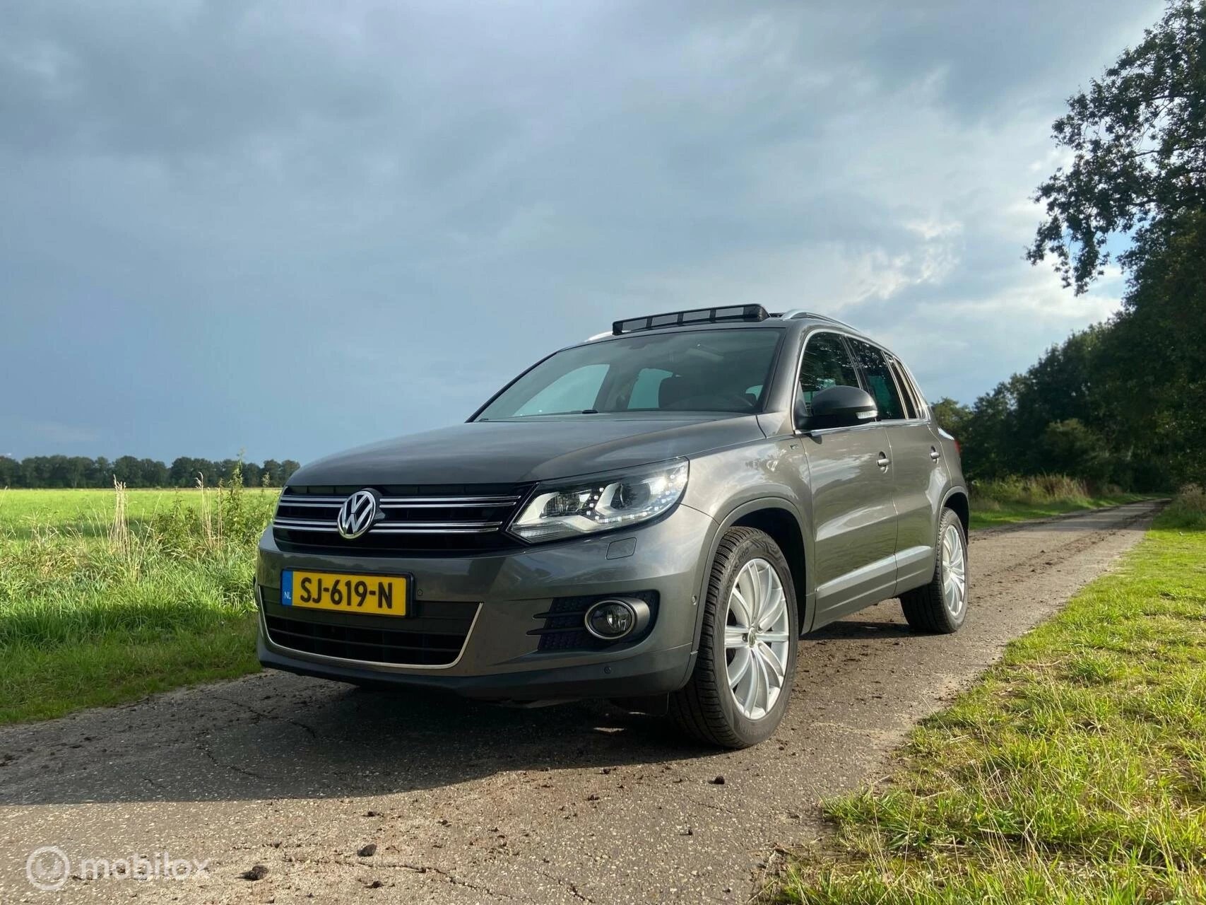 Hoofdafbeelding Volkswagen Tiguan