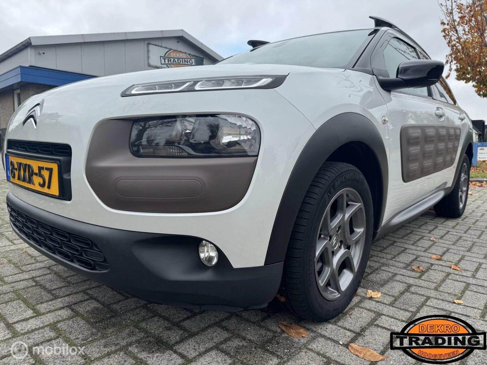 Hoofdafbeelding Citroën C4 Cactus