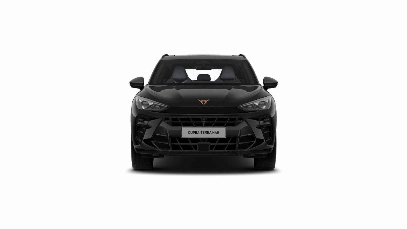 Hoofdafbeelding CUPRA Terramar