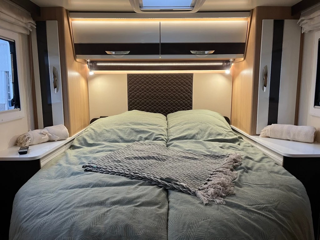 Hoofdafbeelding McLouis YEARLING