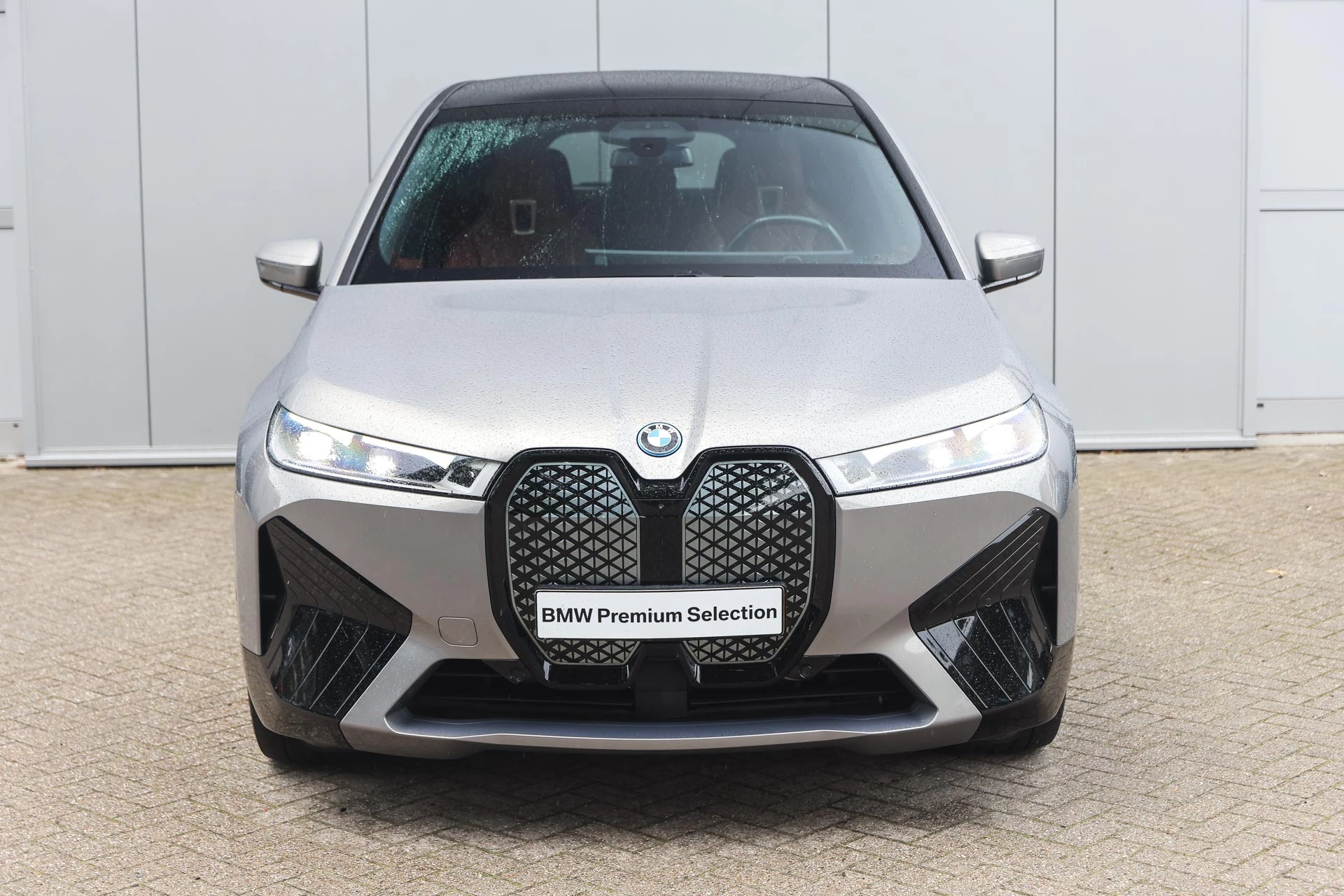 Hoofdafbeelding BMW iX