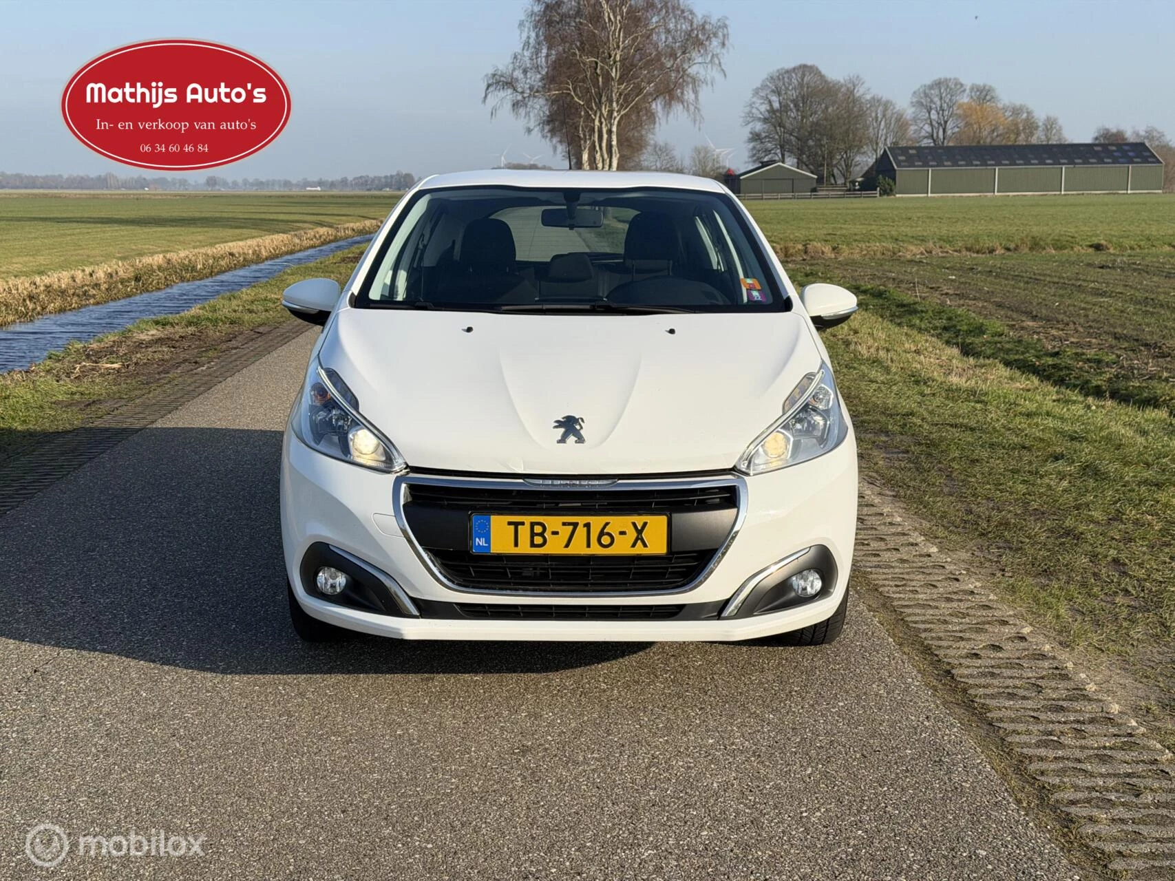 Hoofdafbeelding Peugeot 208