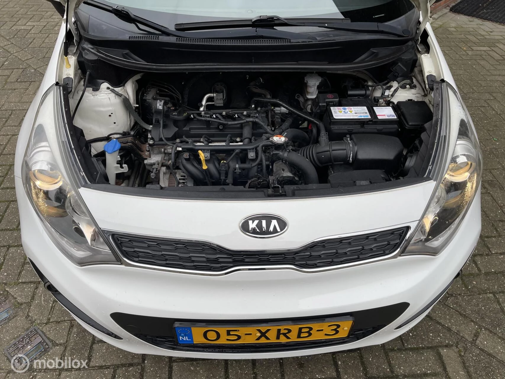 Hoofdafbeelding Kia Rio