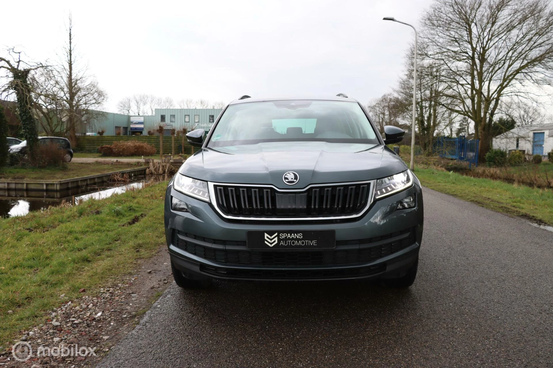 Hoofdafbeelding Škoda Kodiaq