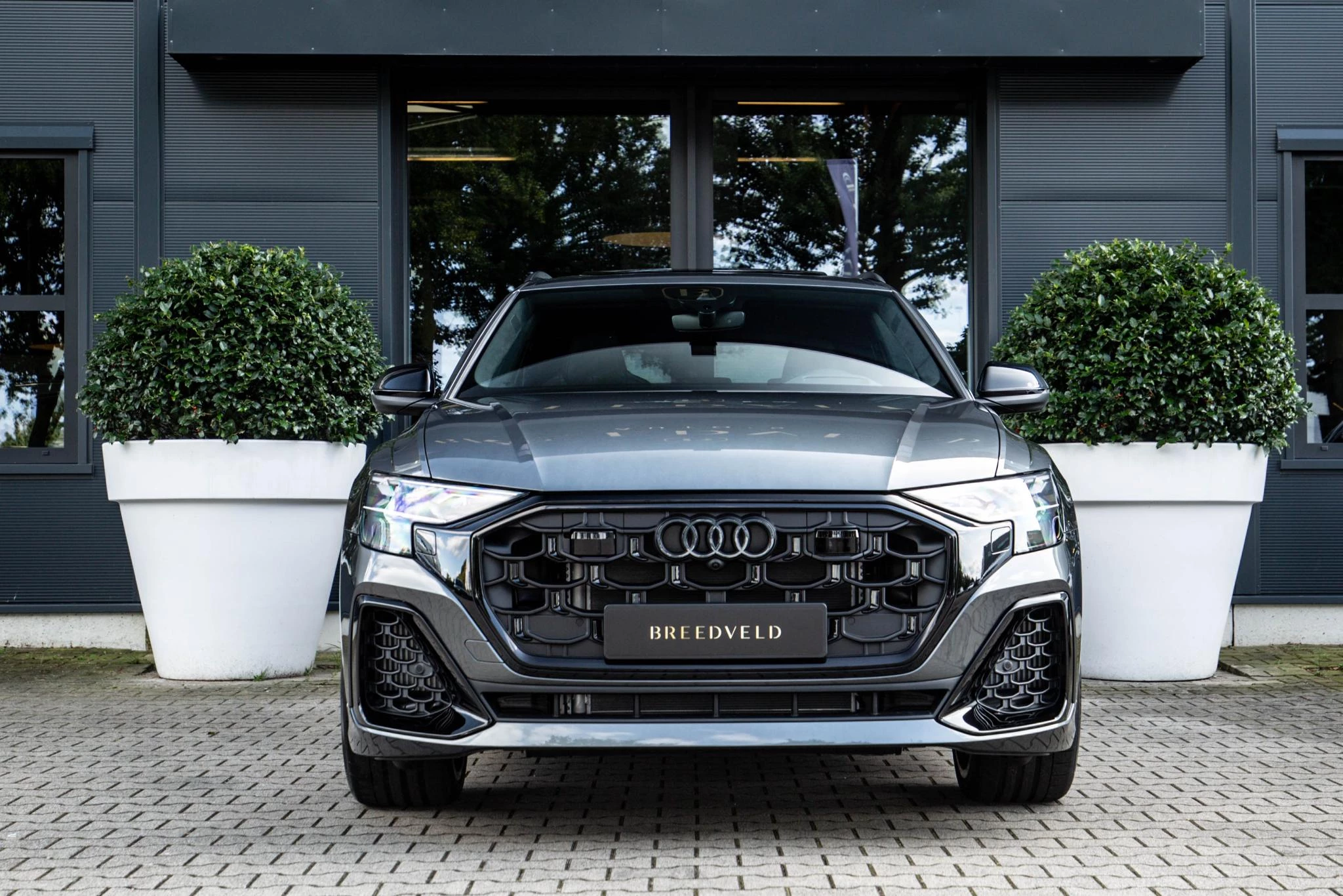 Hoofdafbeelding Audi Q8