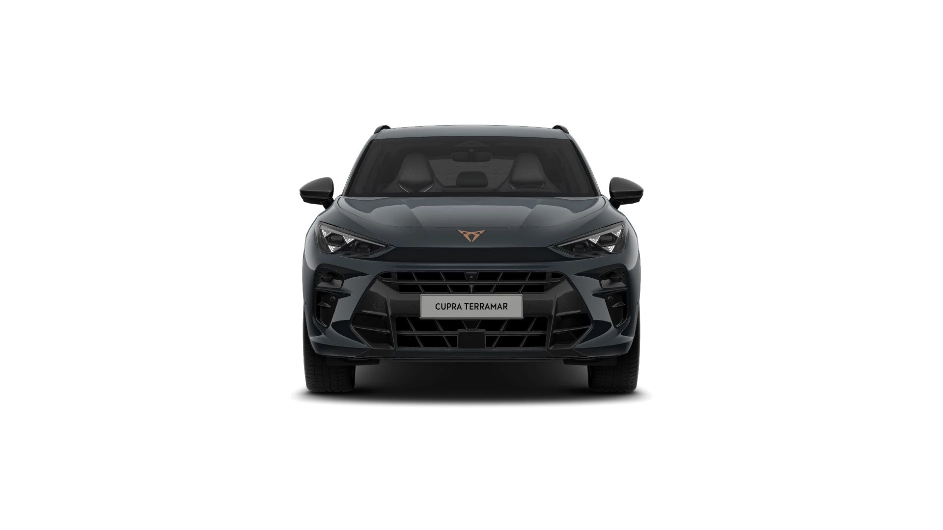 Hoofdafbeelding CUPRA Terramar
