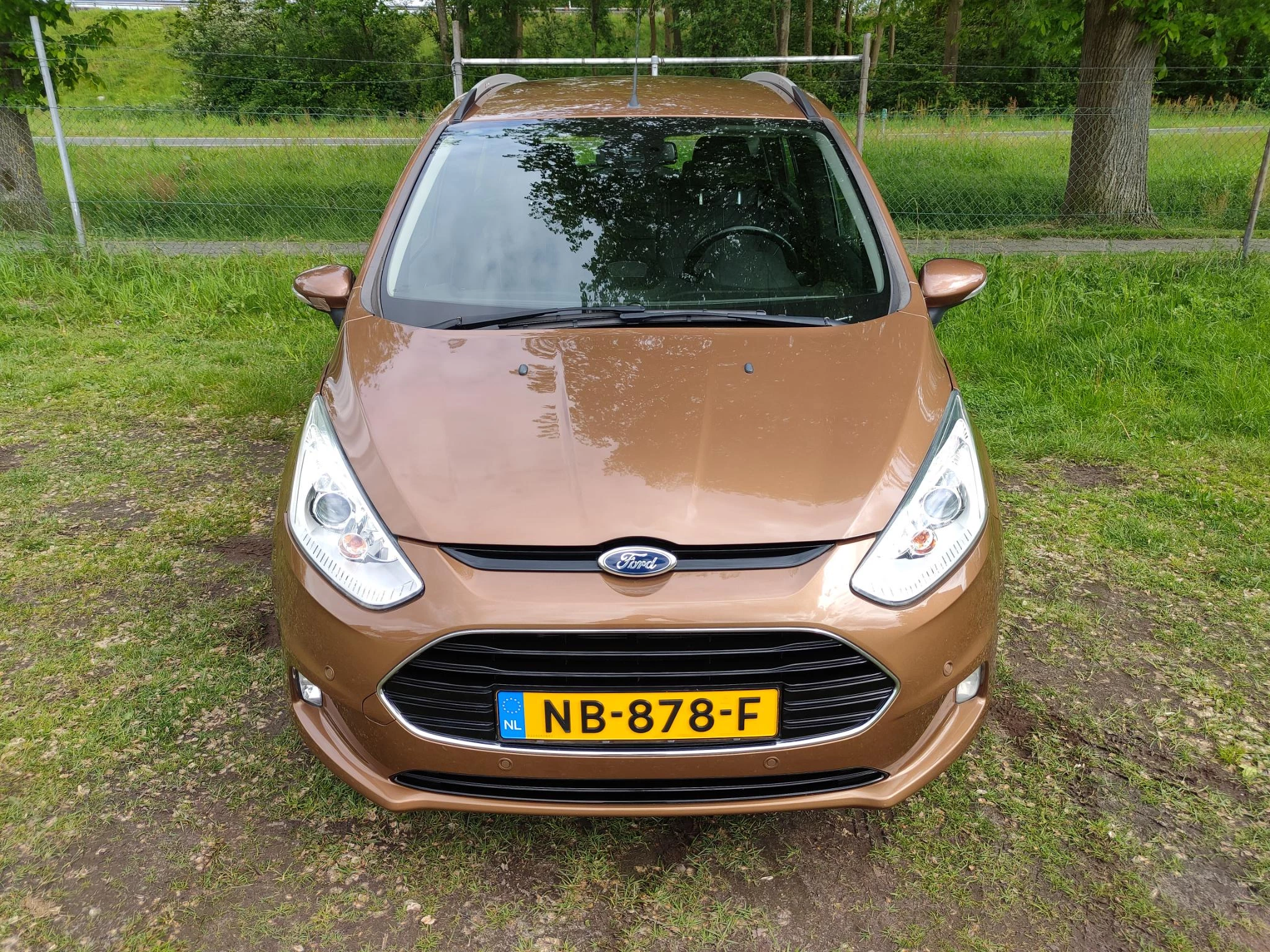 Hoofdafbeelding Ford B-MAX