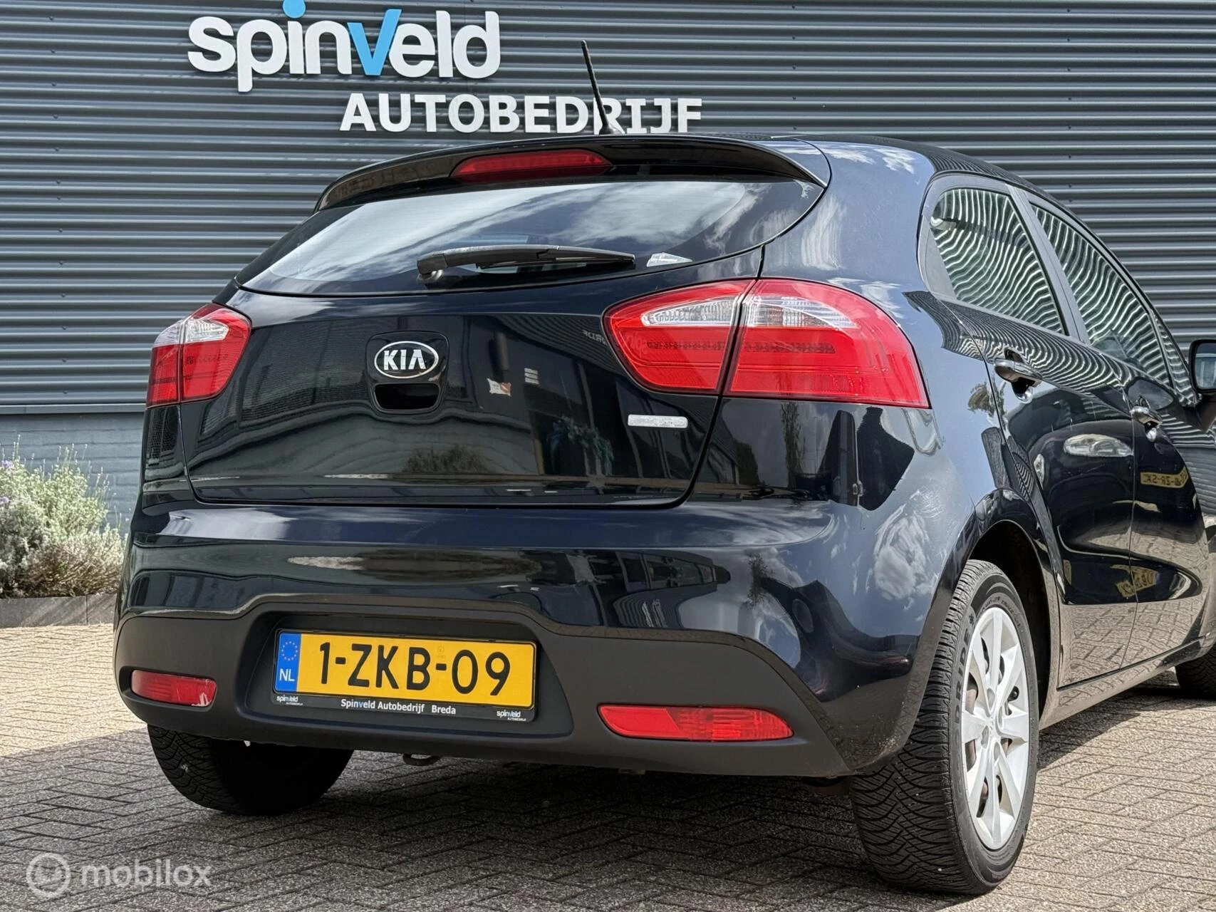 Hoofdafbeelding Kia Rio