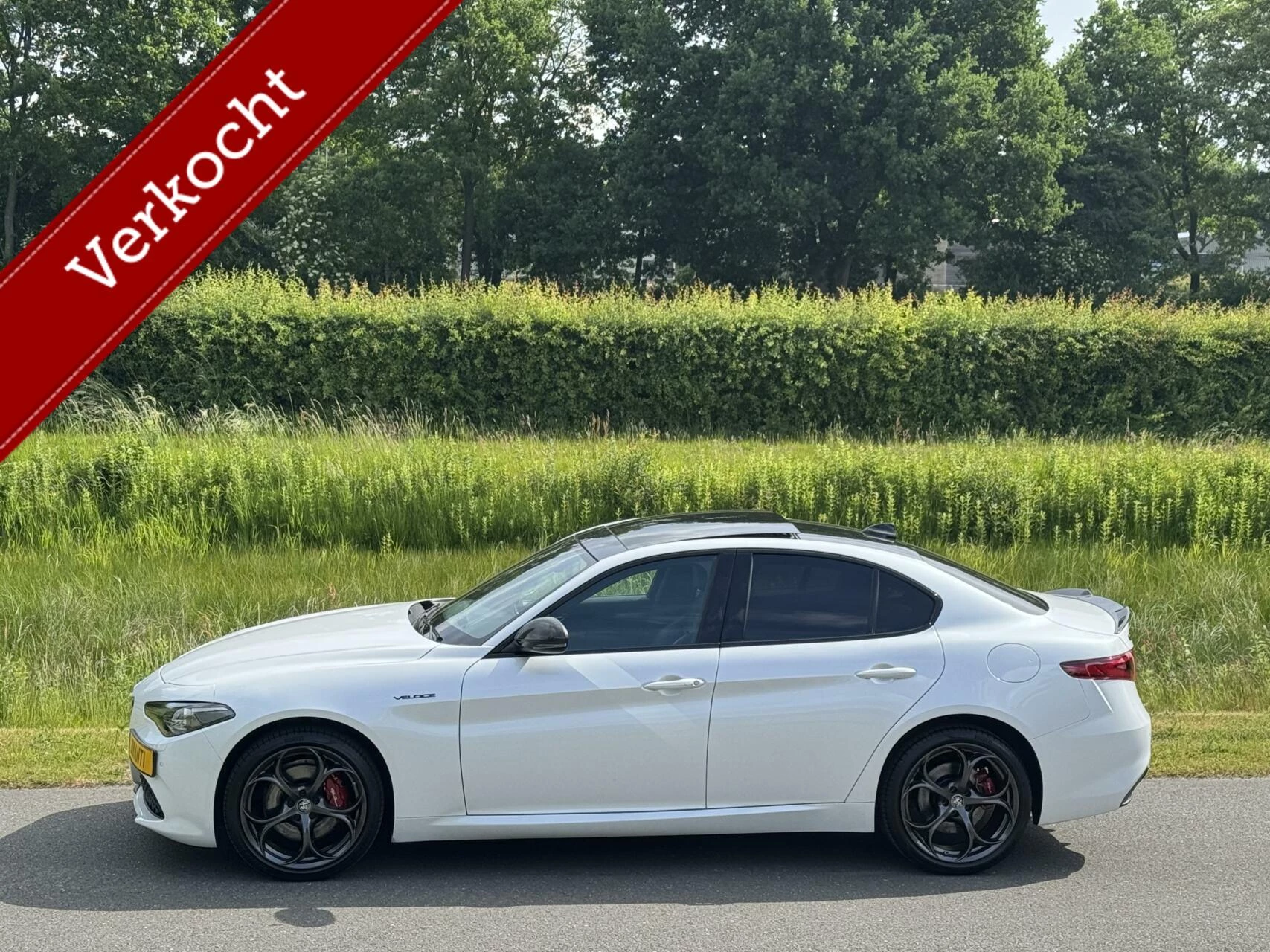 Hoofdafbeelding Alfa Romeo Giulia