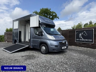 Peugeot Boxer | HORSETRUCK | OPBOUW 2023 | STALLION 3XL | 2013 | HENGST | 150PK | 105.000KM | MANUEL | L3 | 3-SEAT | LUXE | BELGISCH KENTEKEN