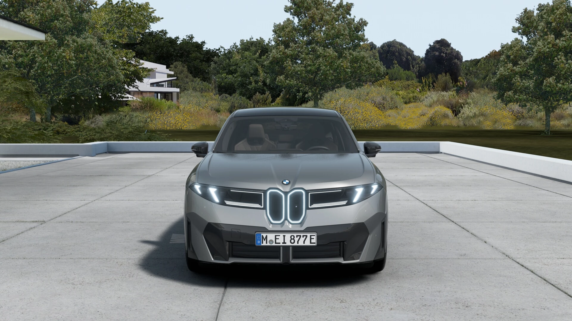 Hoofdafbeelding BMW iX3
