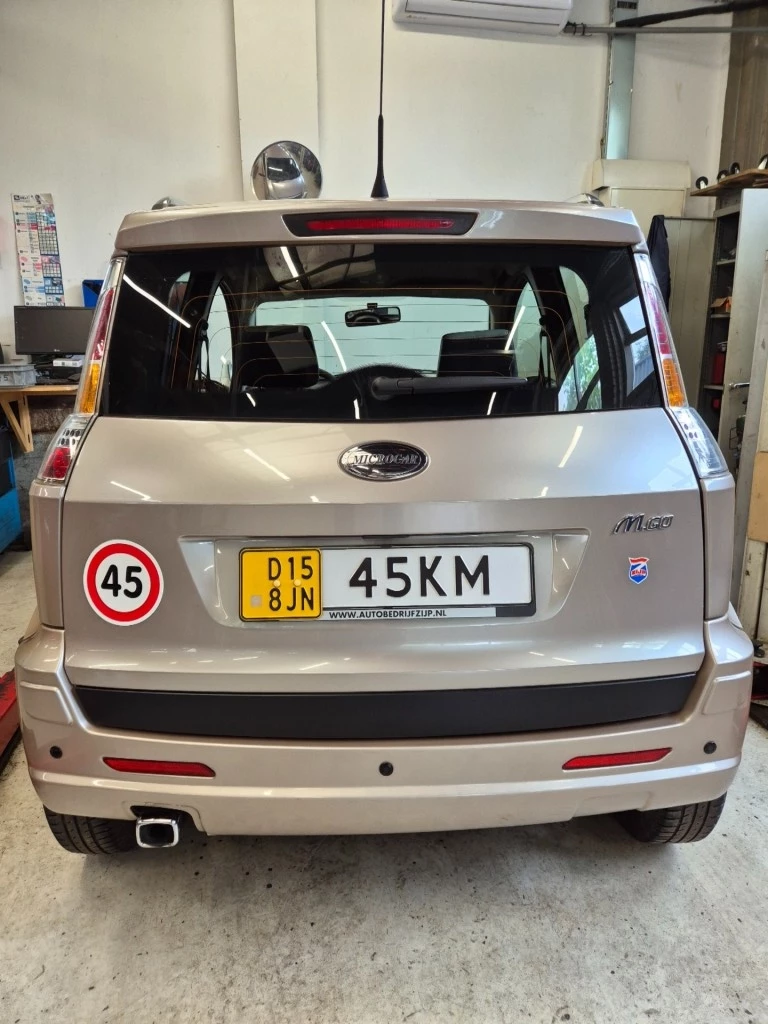 Hoofdafbeelding Microcar M.go