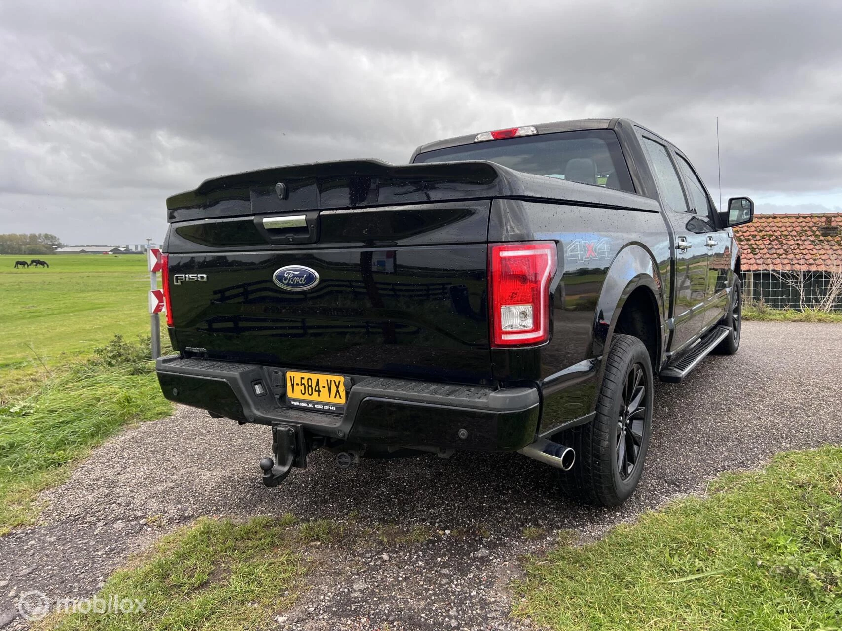 Hoofdafbeelding Ford F-150