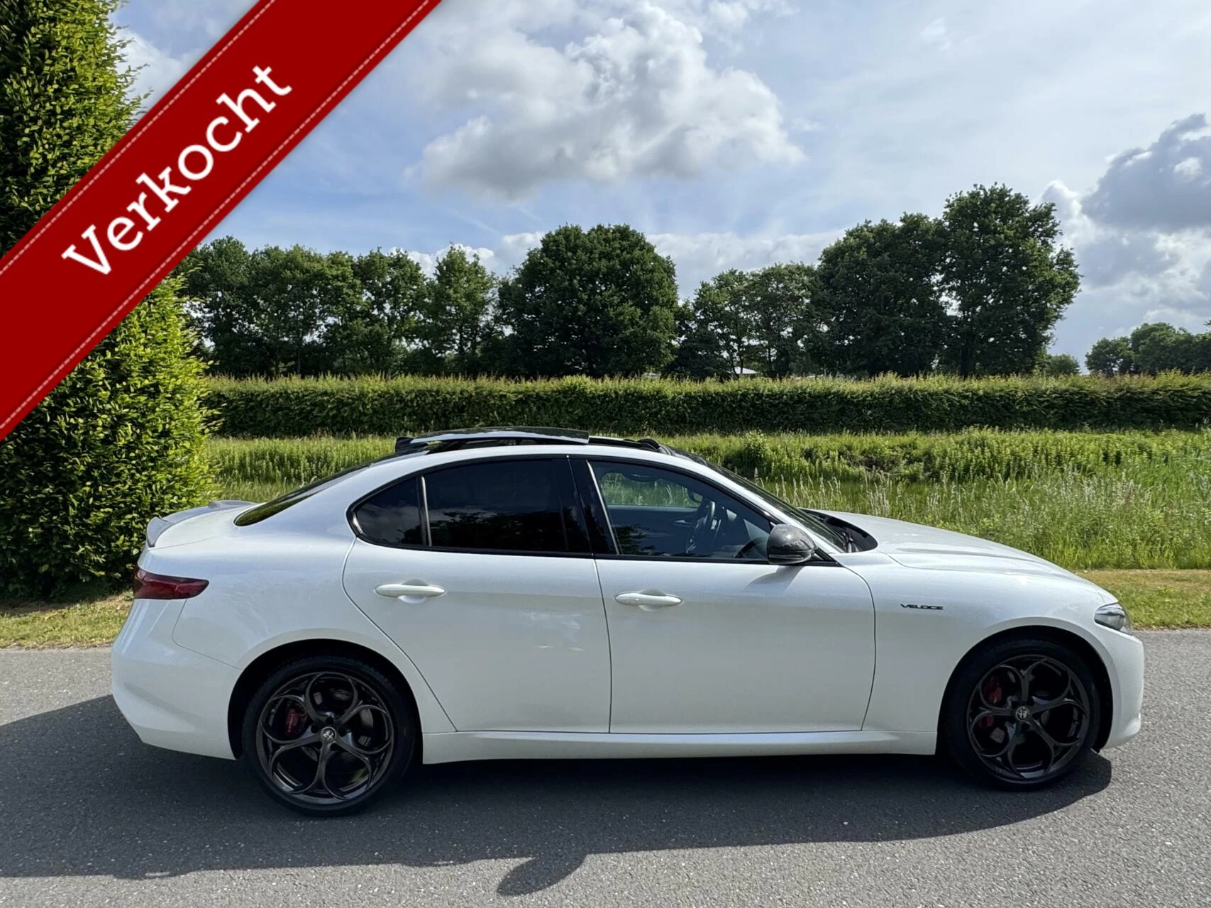 Hoofdafbeelding Alfa Romeo Giulia