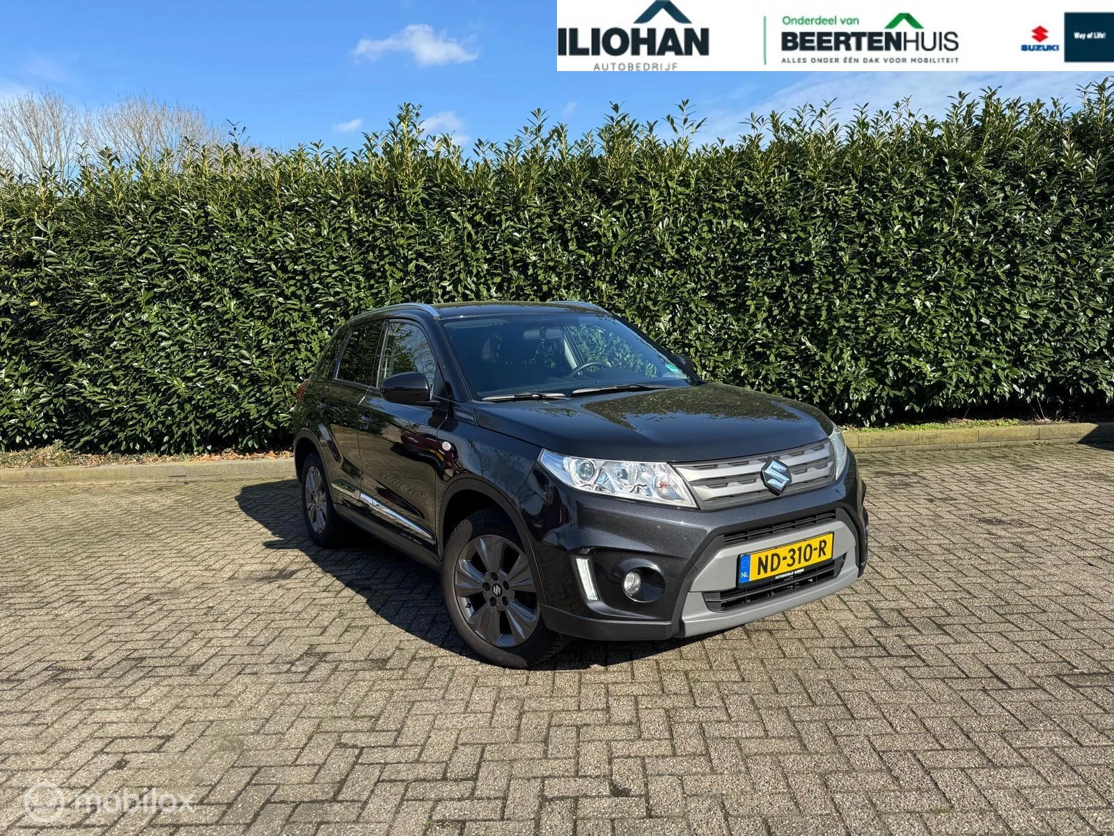 Hoofdafbeelding Suzuki Vitara