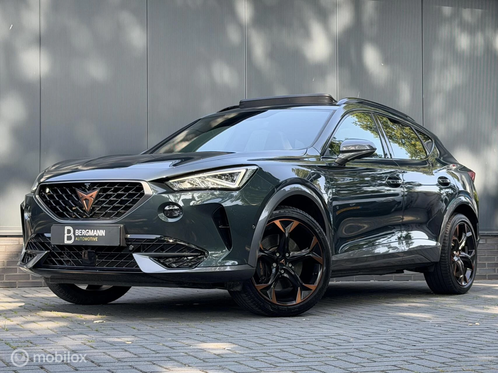 Hoofdafbeelding CUPRA Formentor