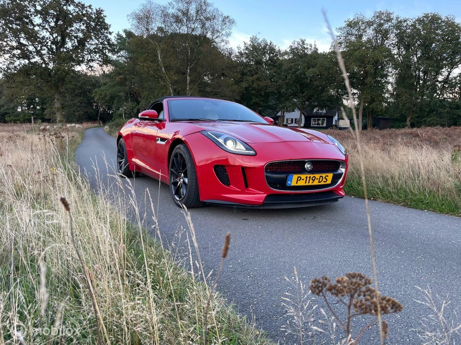 Hoofdafbeelding Jaguar F-Type