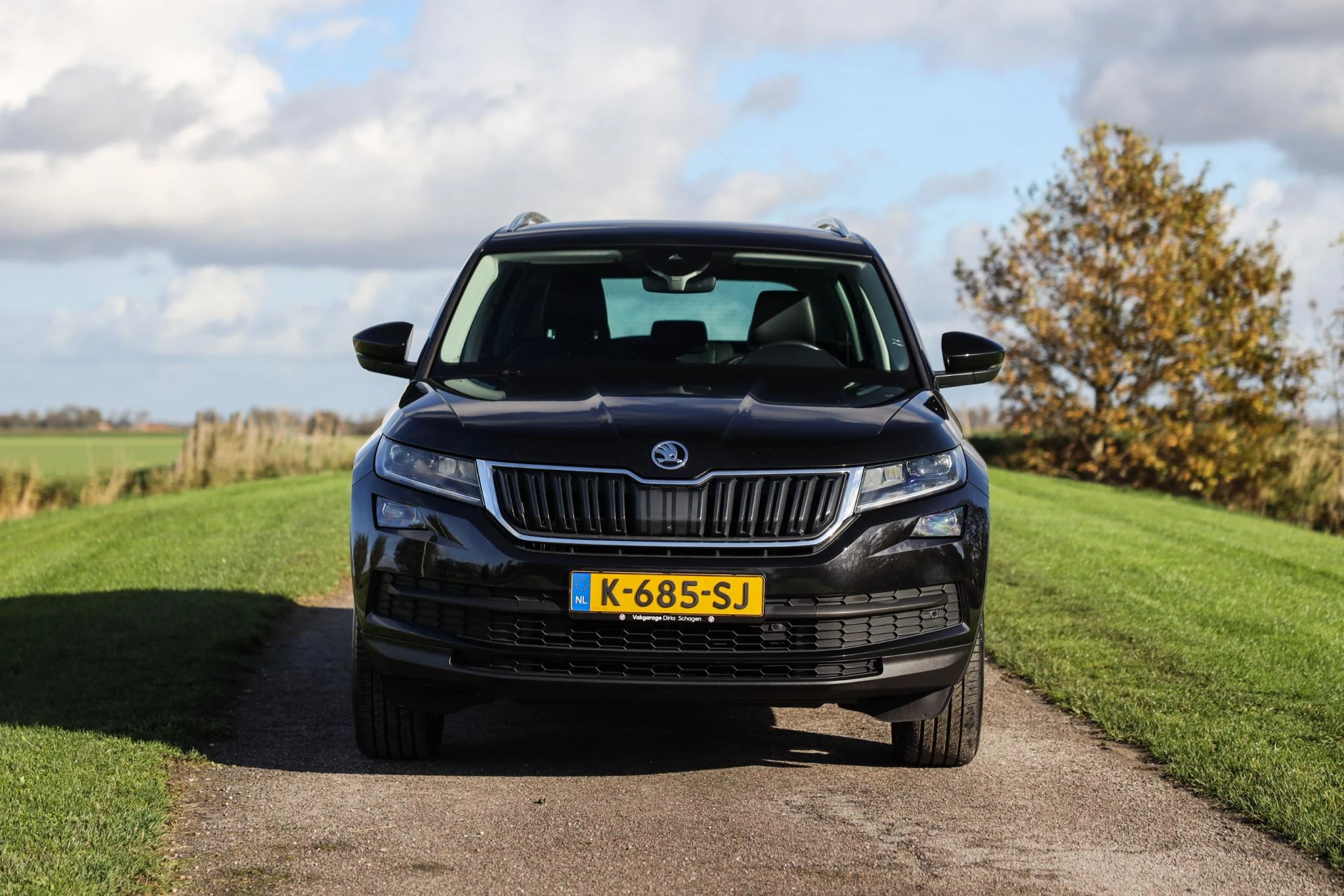 Hoofdafbeelding Škoda Kodiaq
