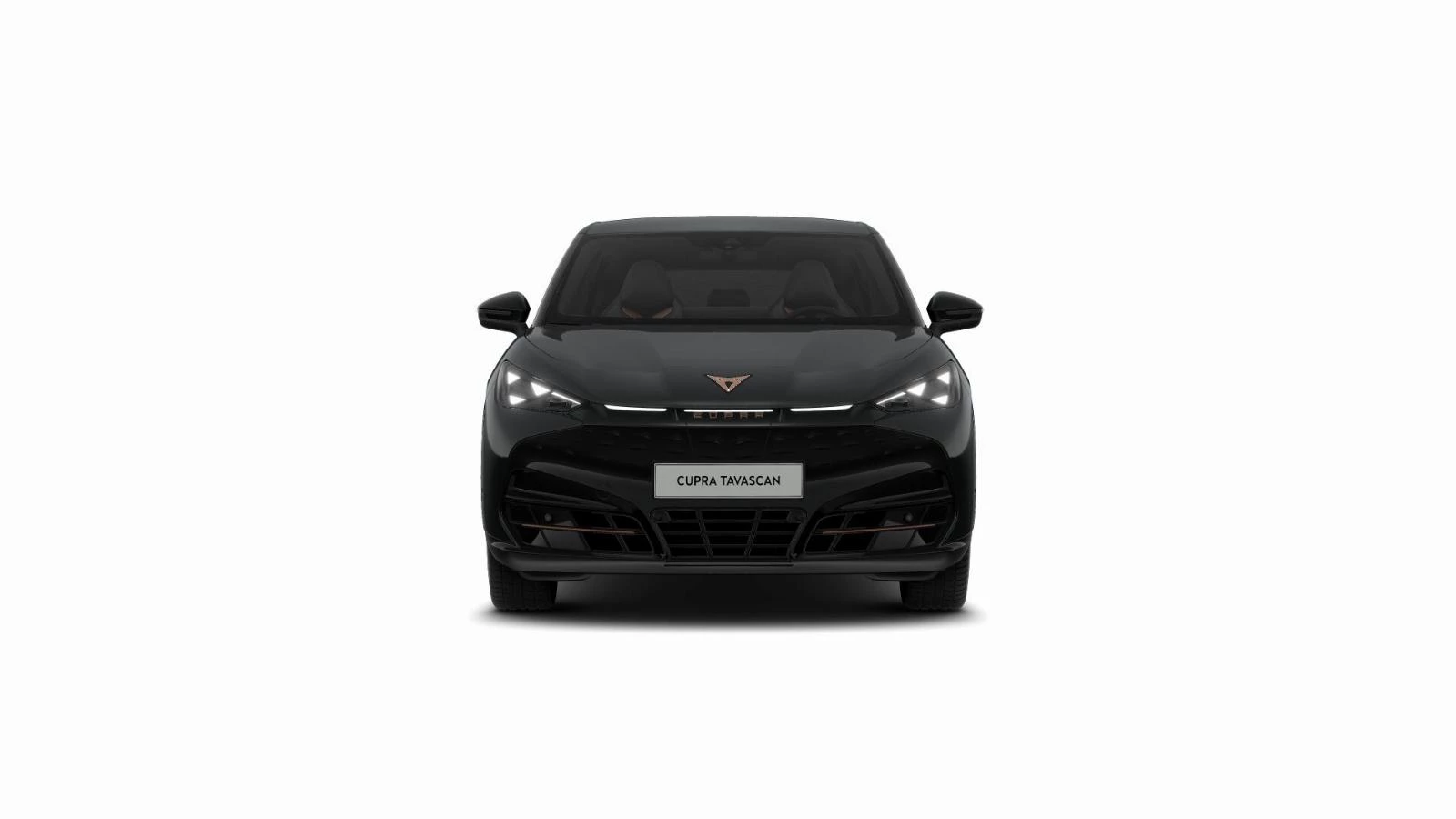 Hoofdafbeelding CUPRA Tavascan