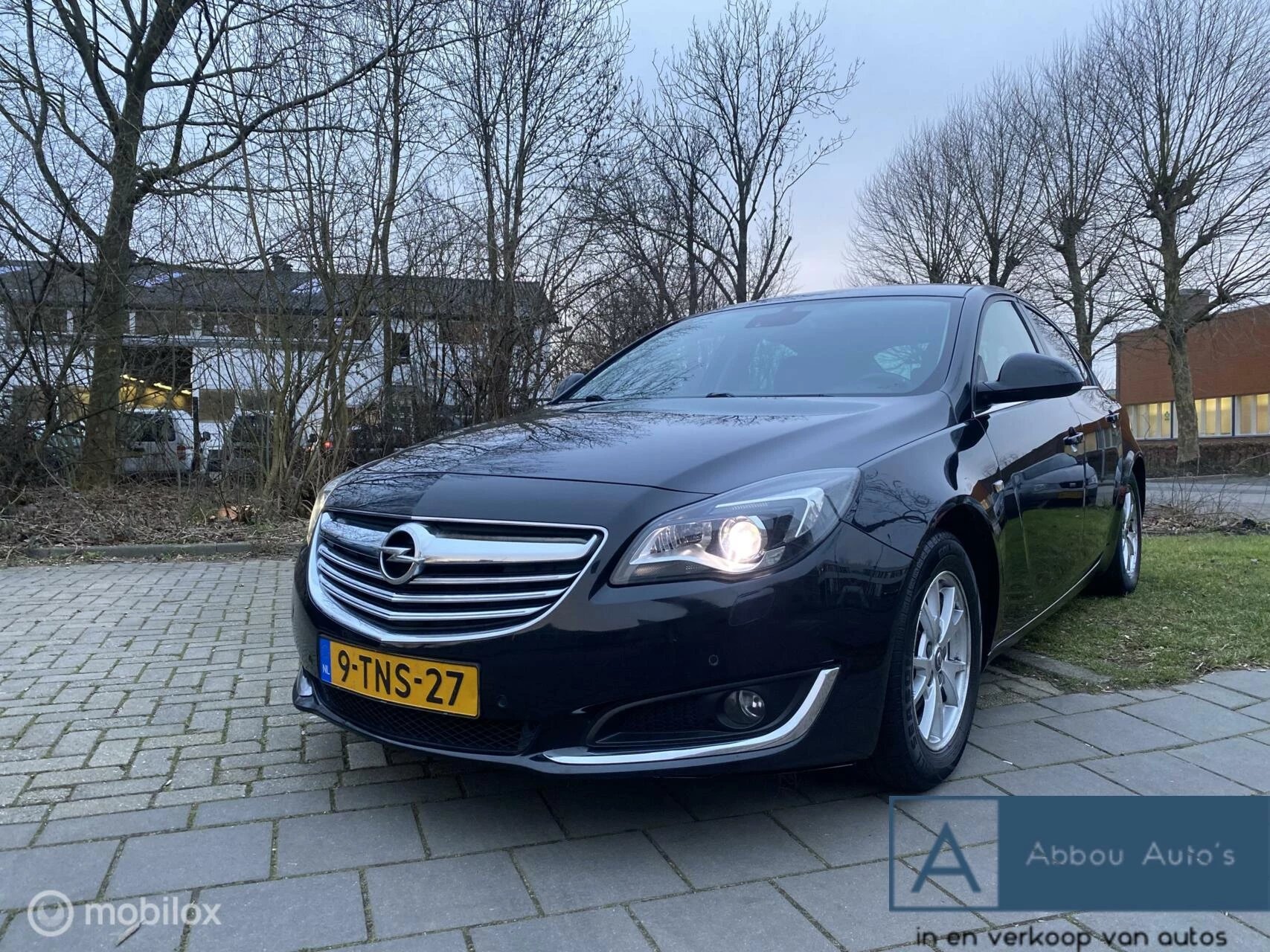 Hoofdafbeelding Opel Insignia