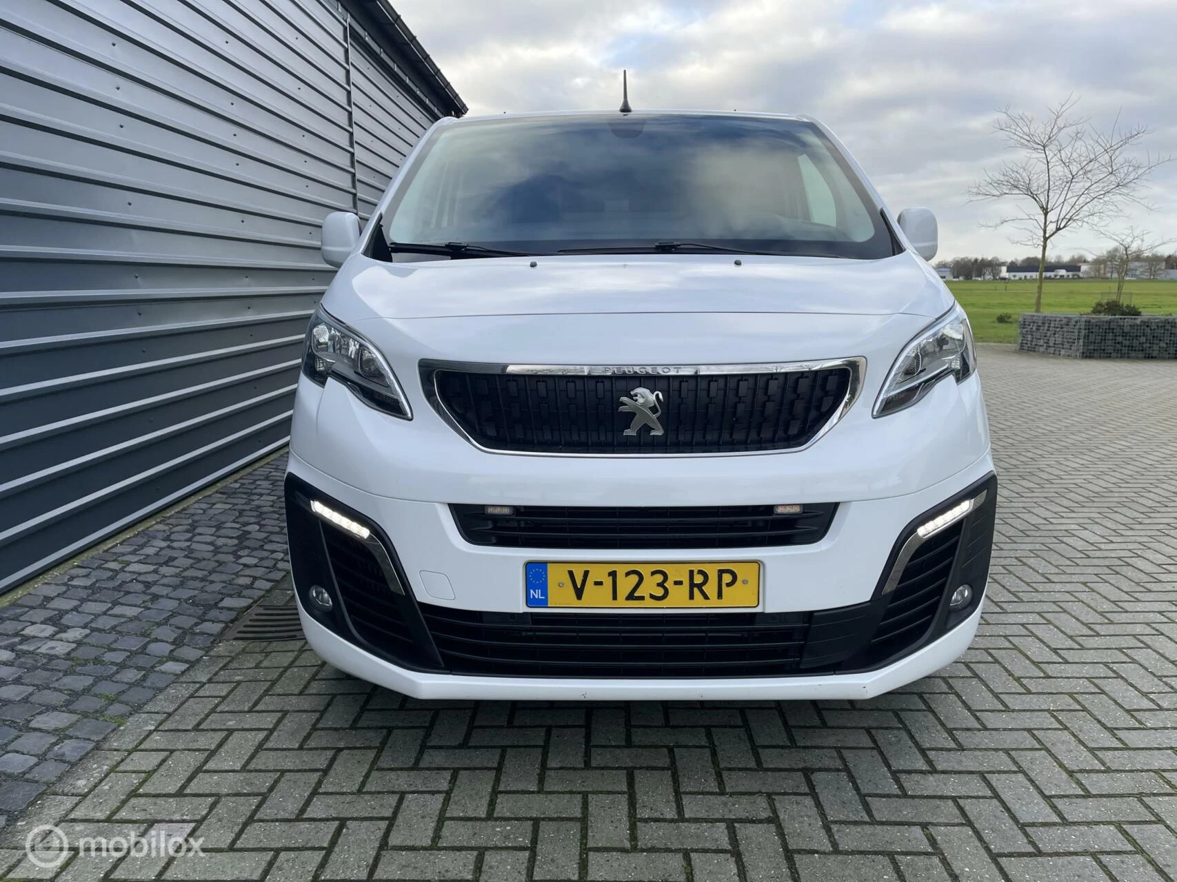 Hoofdafbeelding Peugeot Expert