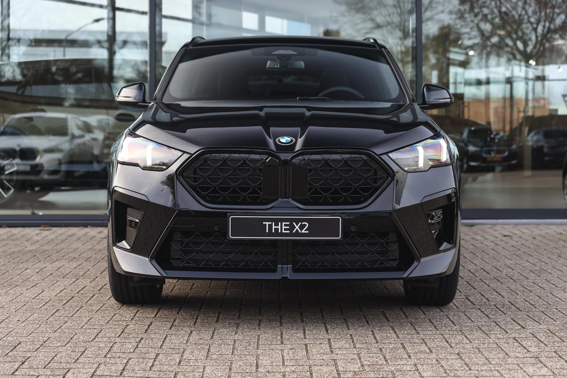 Hoofdafbeelding BMW X2