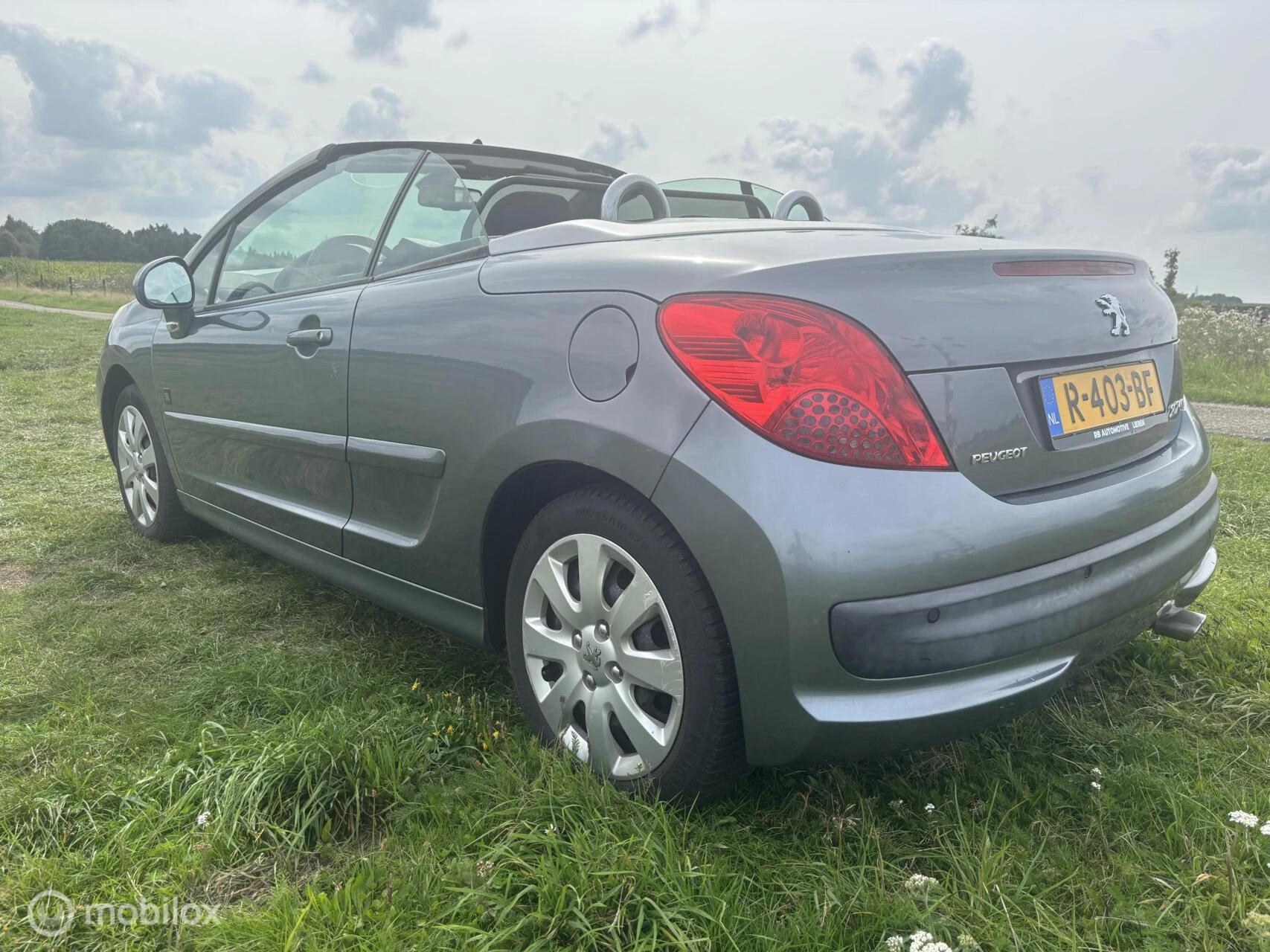 Hoofdafbeelding Peugeot 207