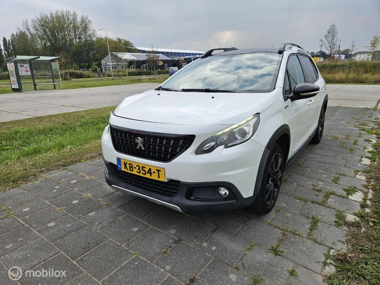 Hoofdafbeelding Peugeot 2008