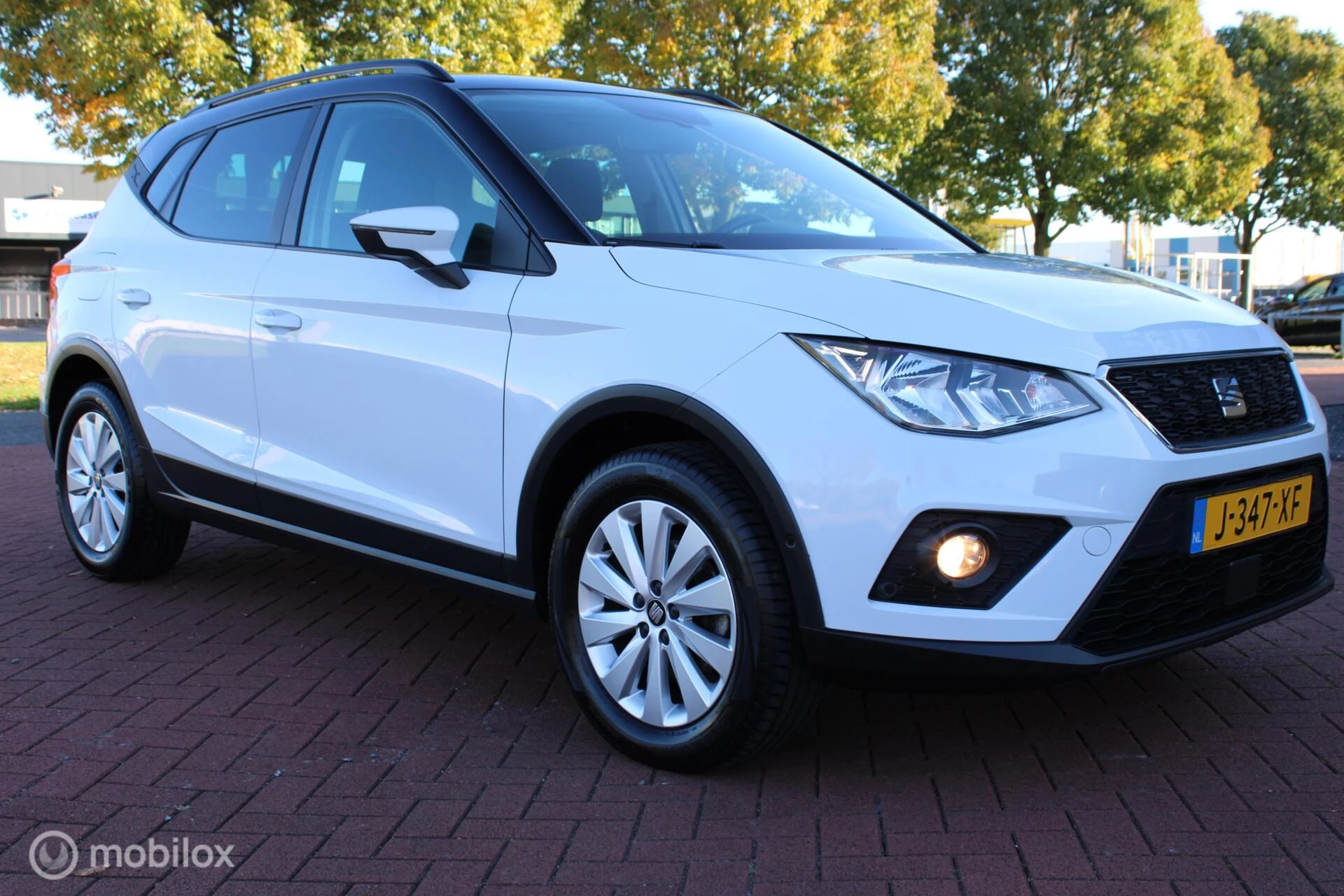 Hoofdafbeelding SEAT Arona
