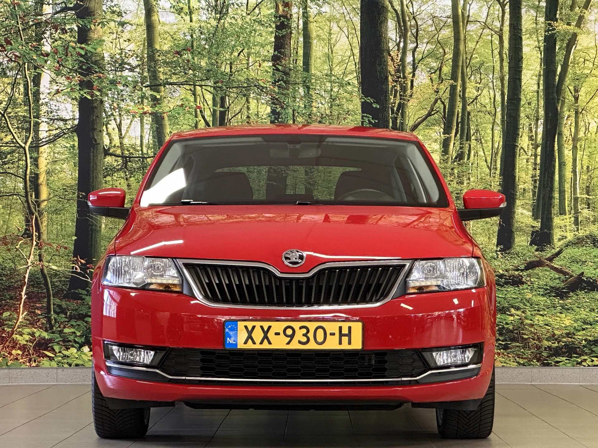 Hoofdafbeelding Škoda Rapid