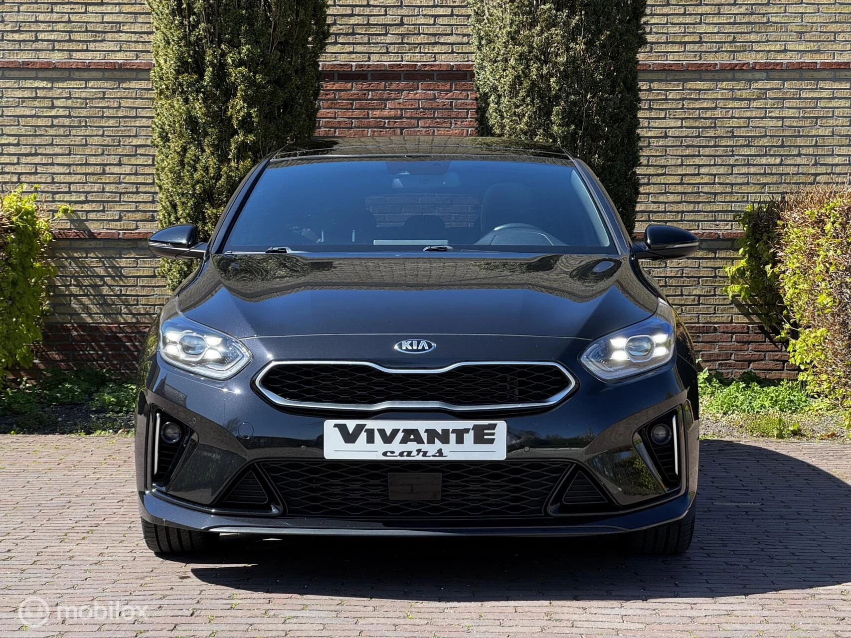 Hoofdafbeelding Kia ProCeed