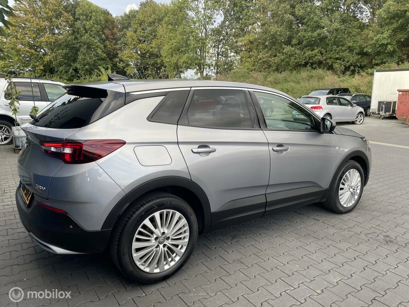 Hoofdafbeelding Opel Grandland X