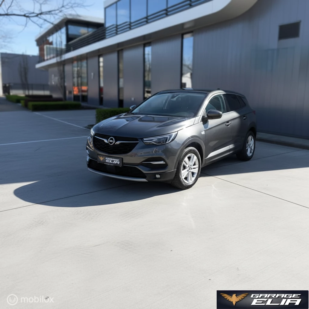 Hoofdafbeelding Opel Grandland X