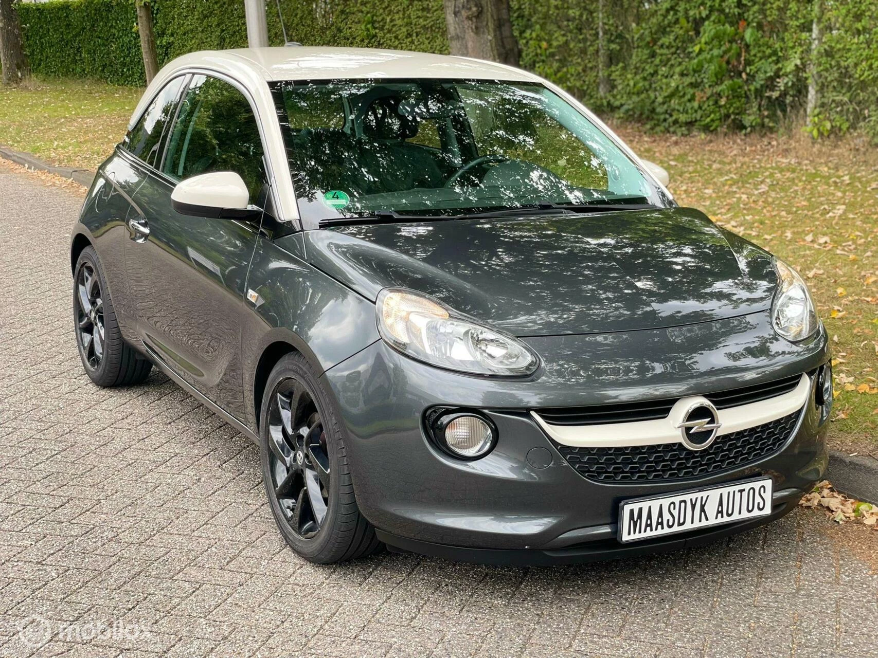 Hoofdafbeelding Opel ADAM