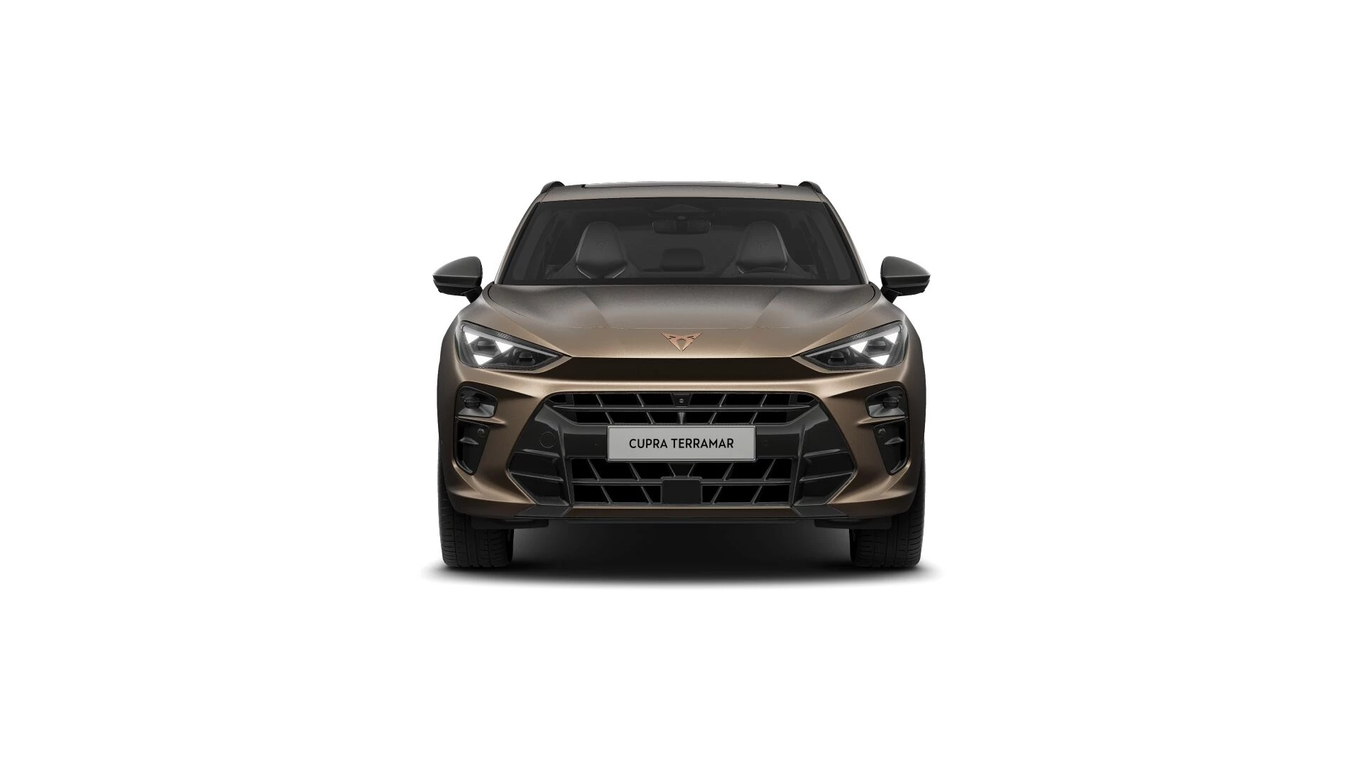 Hoofdafbeelding CUPRA Terramar