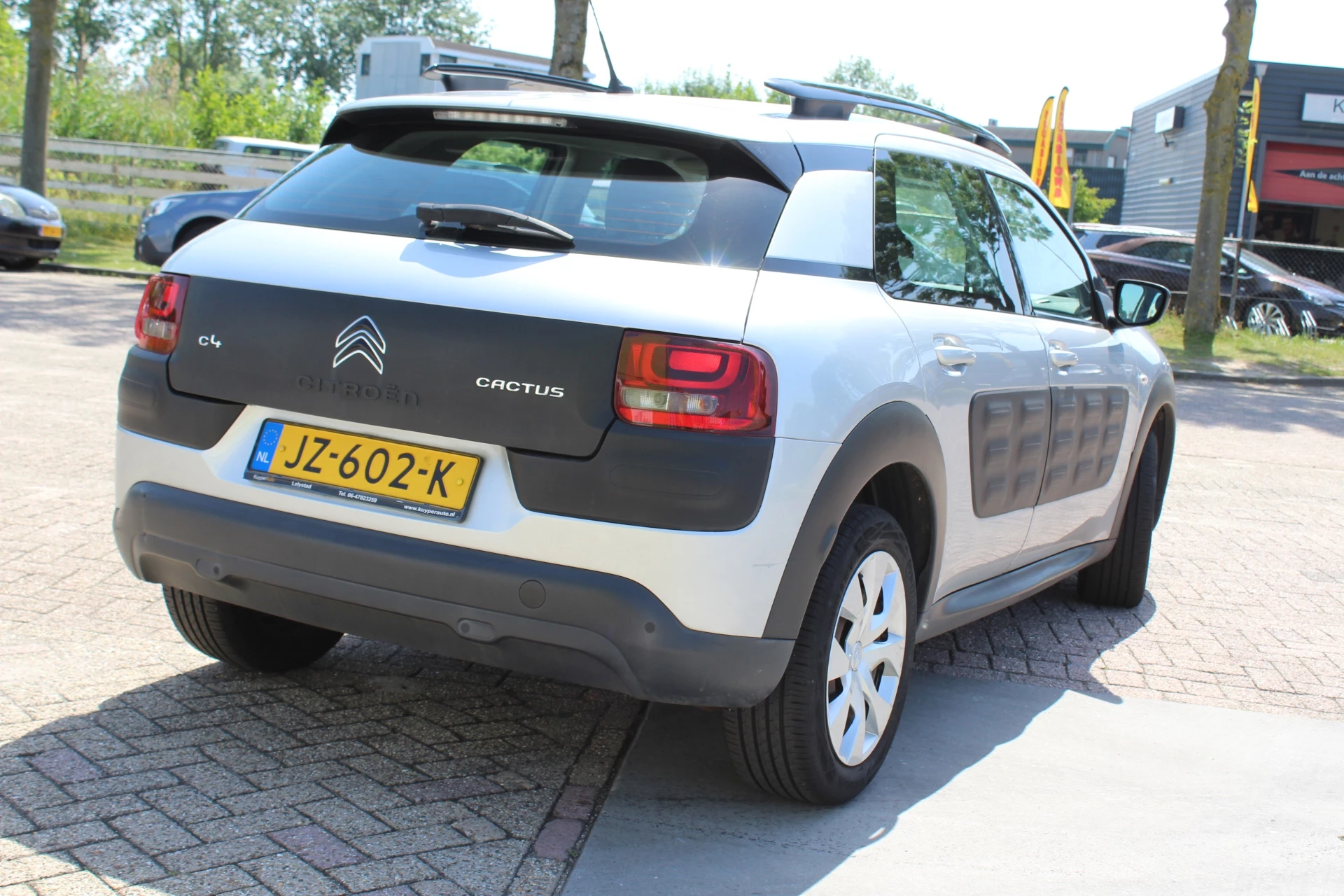 Hoofdafbeelding Citroën C4 Cactus