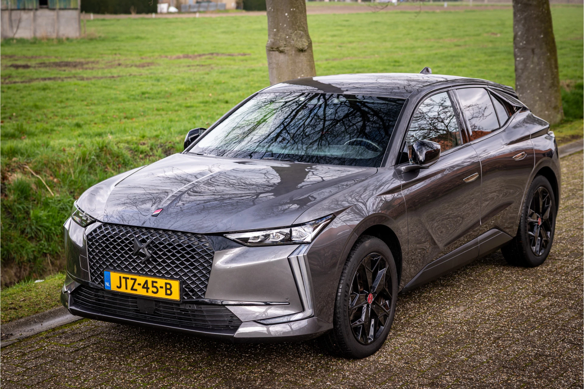 Hoofdafbeelding DS DS 4