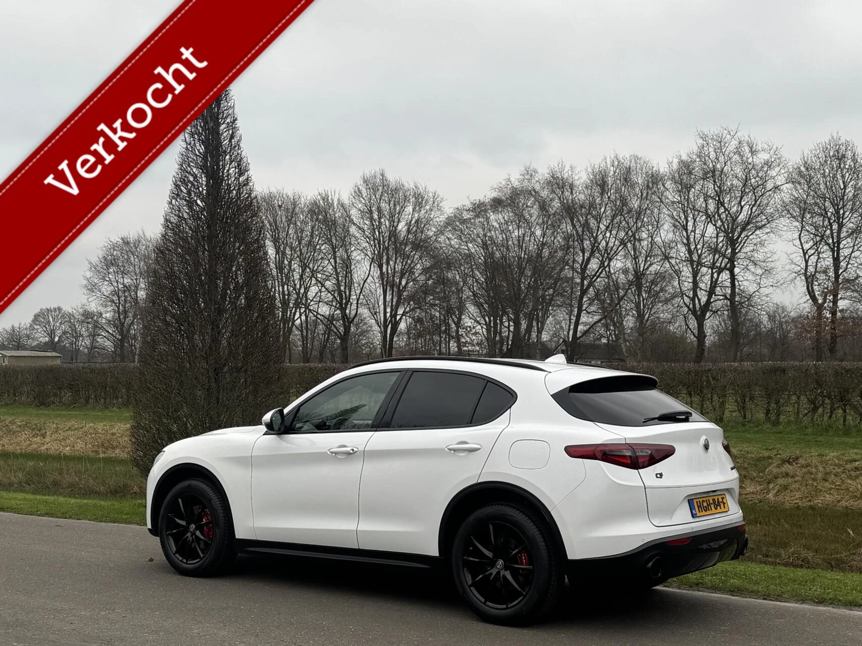 Hoofdafbeelding Alfa Romeo Stelvio