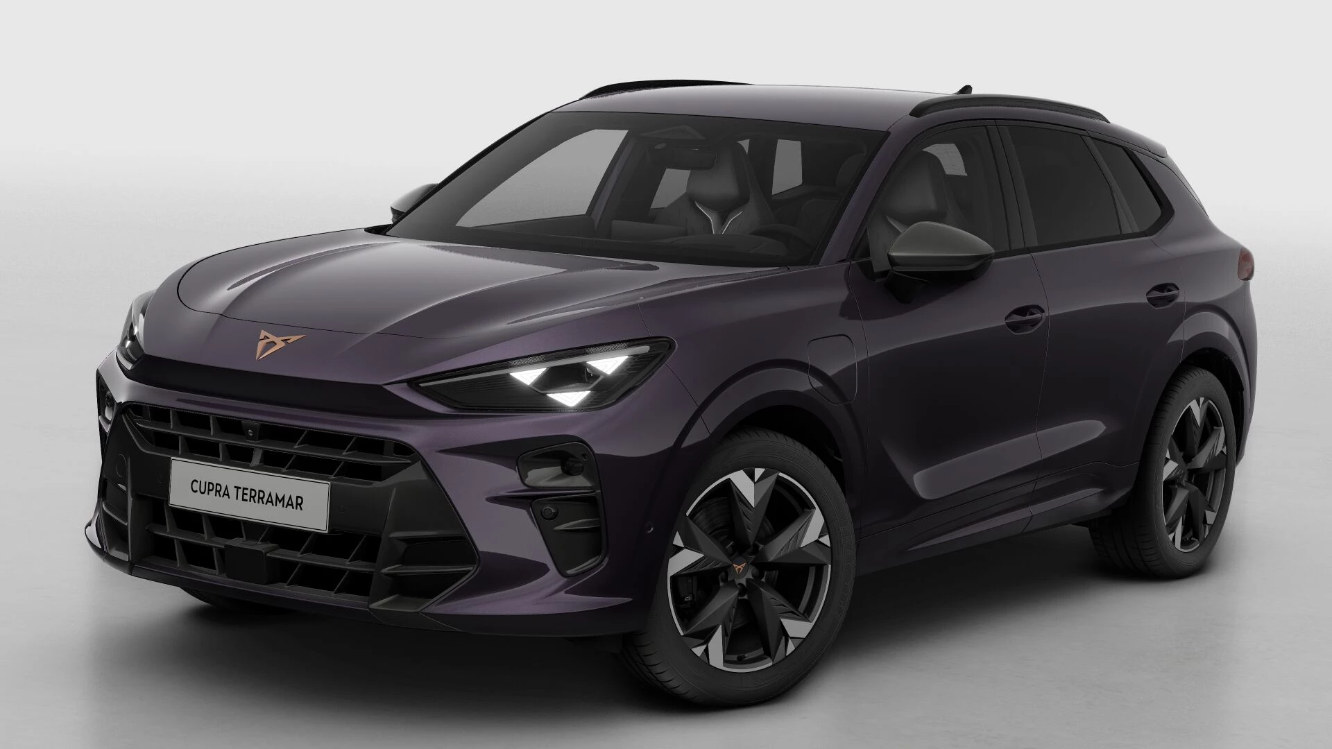 Hoofdafbeelding CUPRA Terramar