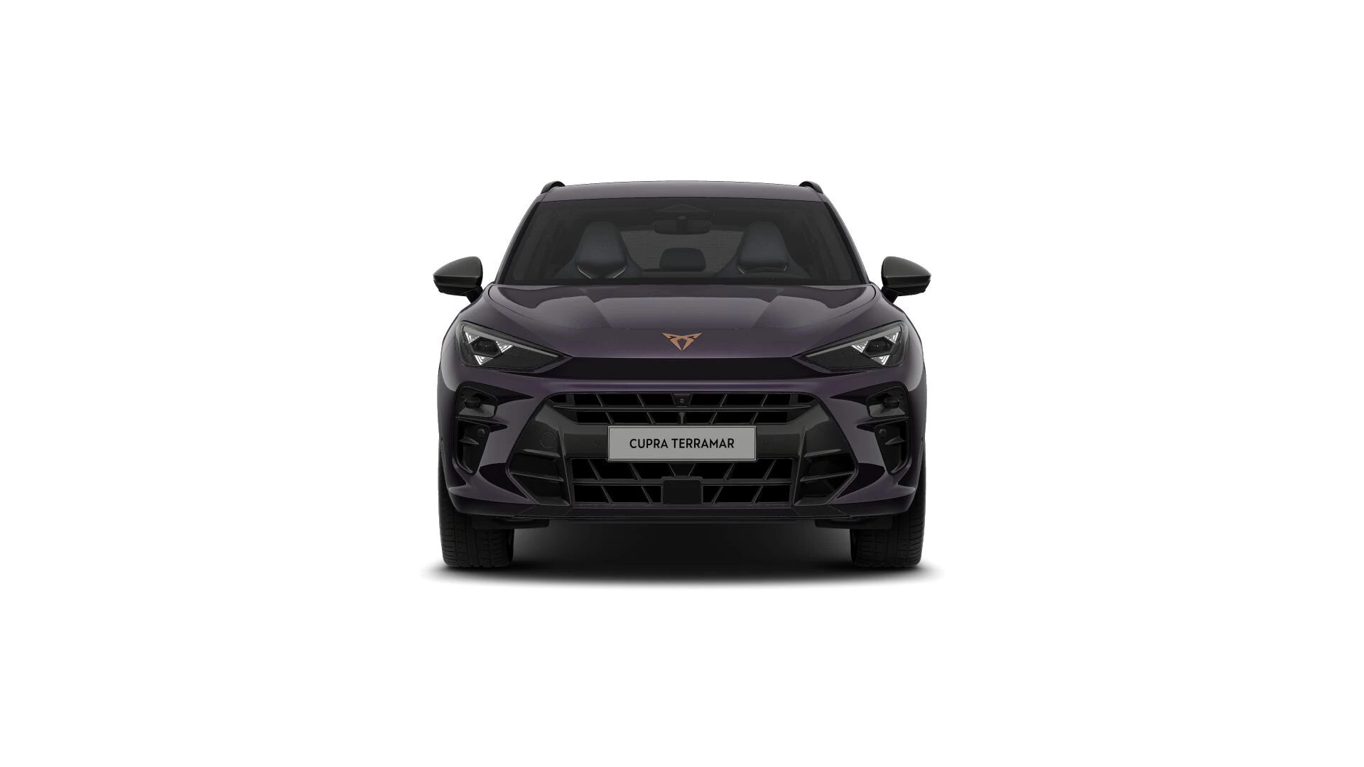 Hoofdafbeelding CUPRA Terramar