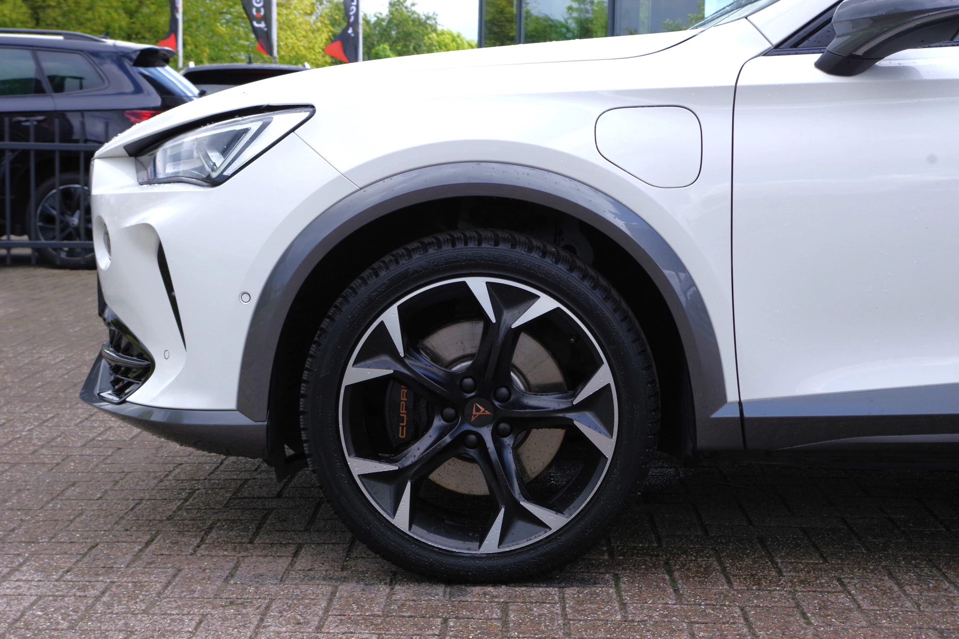 Hoofdafbeelding CUPRA Formentor