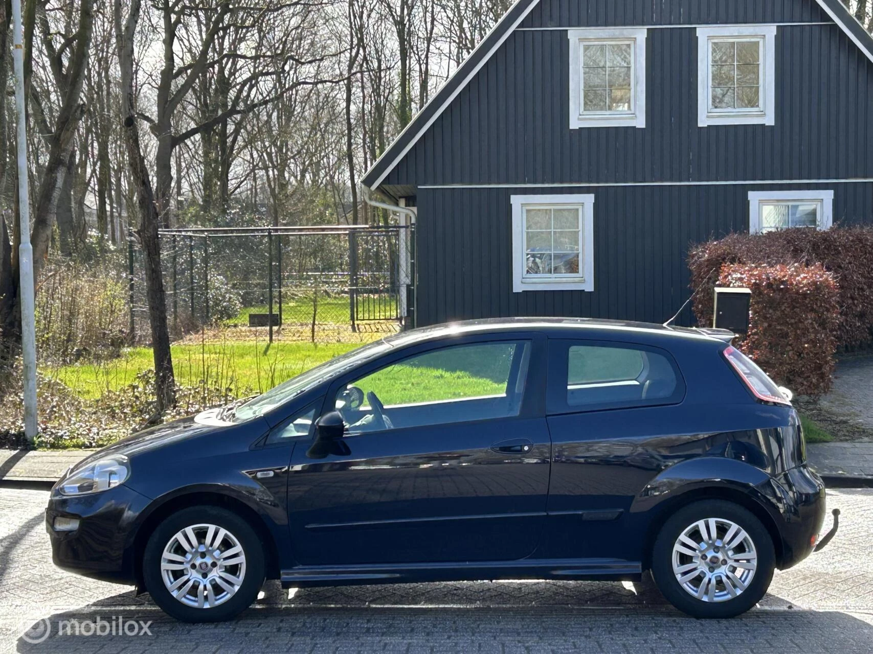 Hoofdafbeelding Fiat Punto