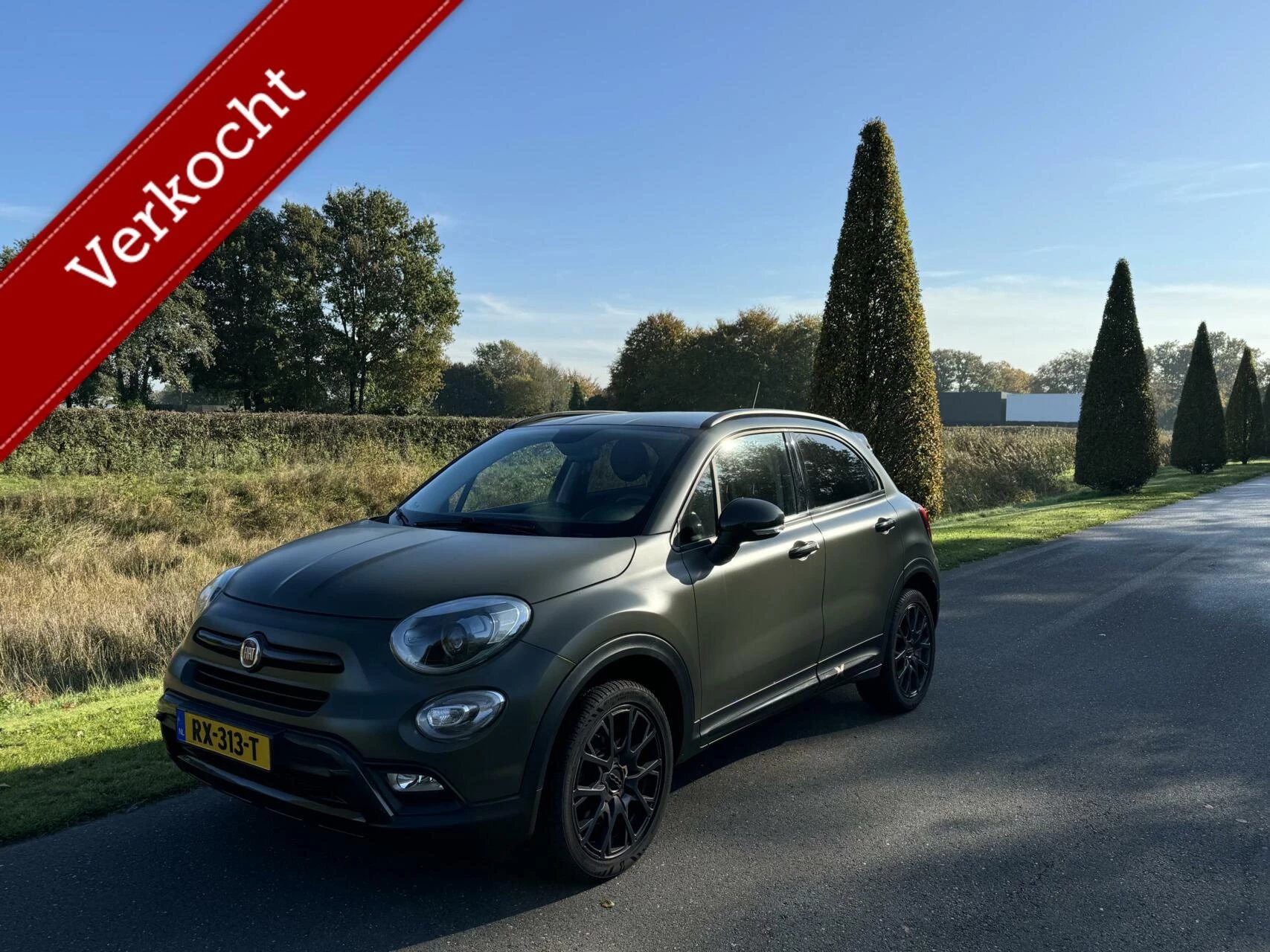 Hoofdafbeelding Fiat 500X