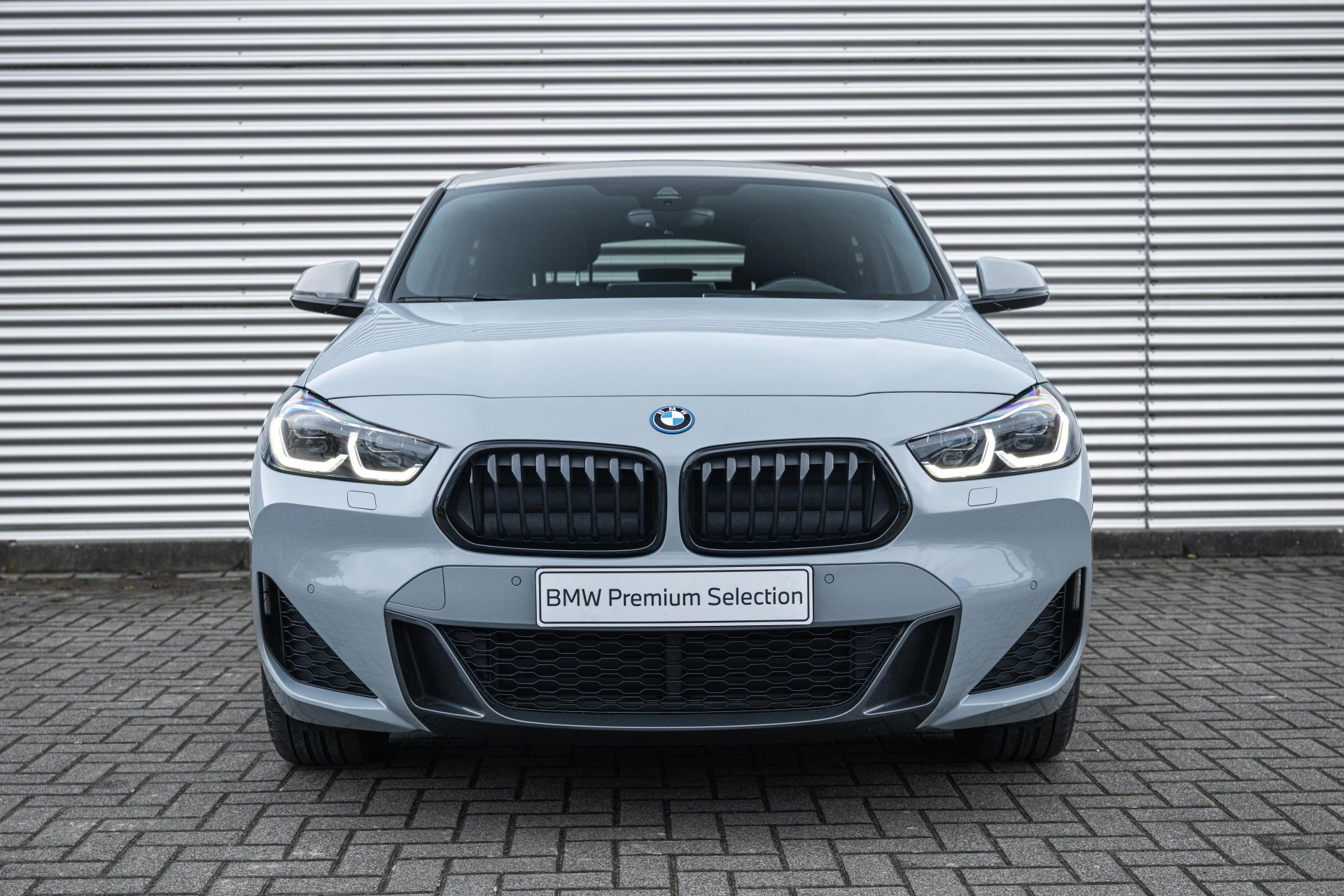 Hoofdafbeelding BMW X2