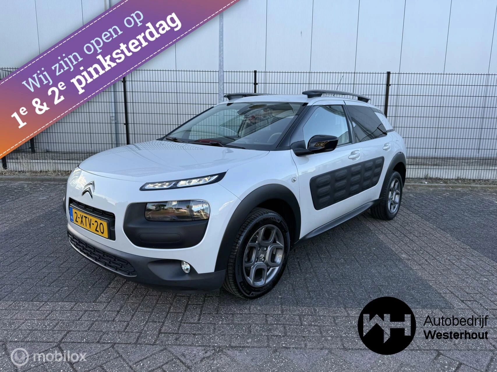 Hoofdafbeelding Citroën C4 Cactus