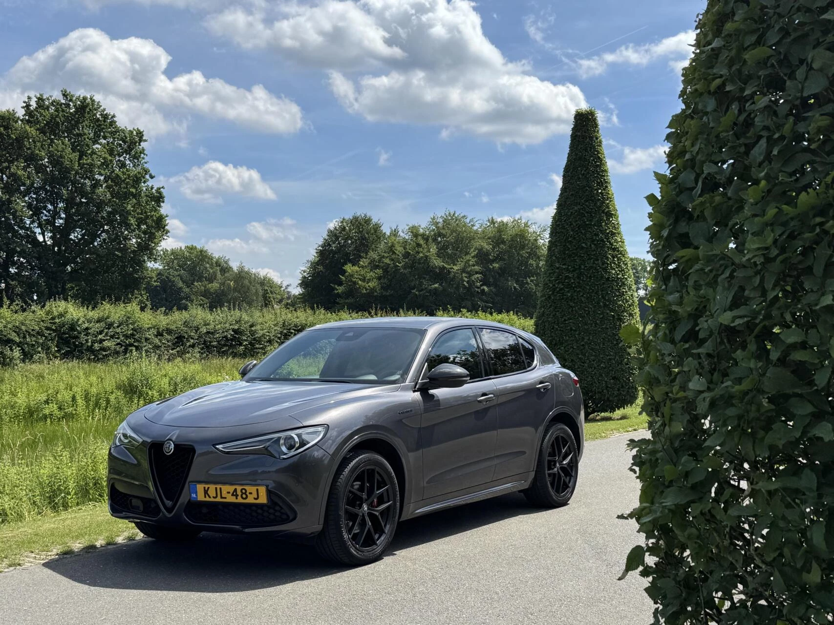 Hoofdafbeelding Alfa Romeo Stelvio